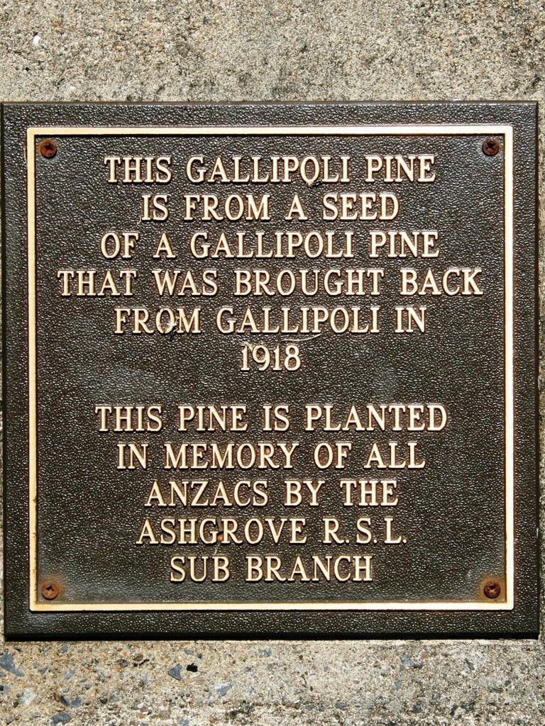 Ashgrove Stewart Place Gallipoli Pine - dedication plaque