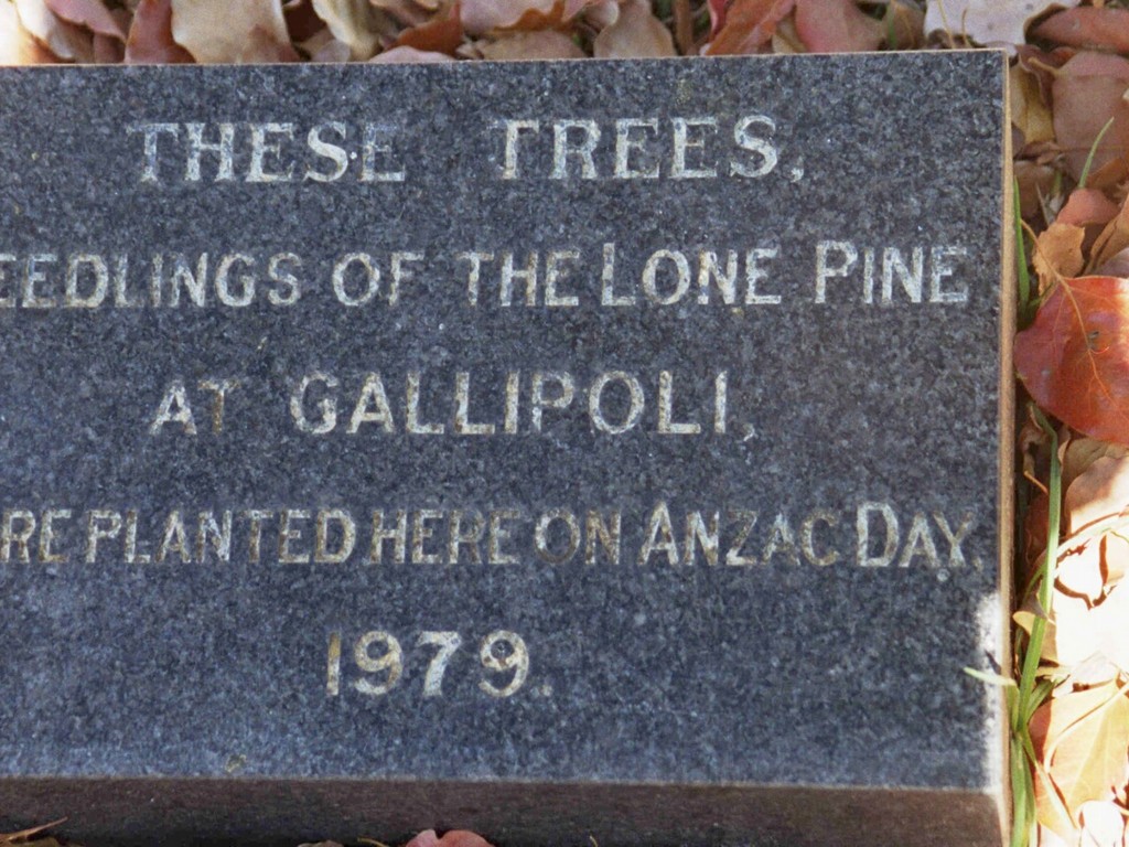 Toowoomba Grammar School Gallipoli Pines - plaque