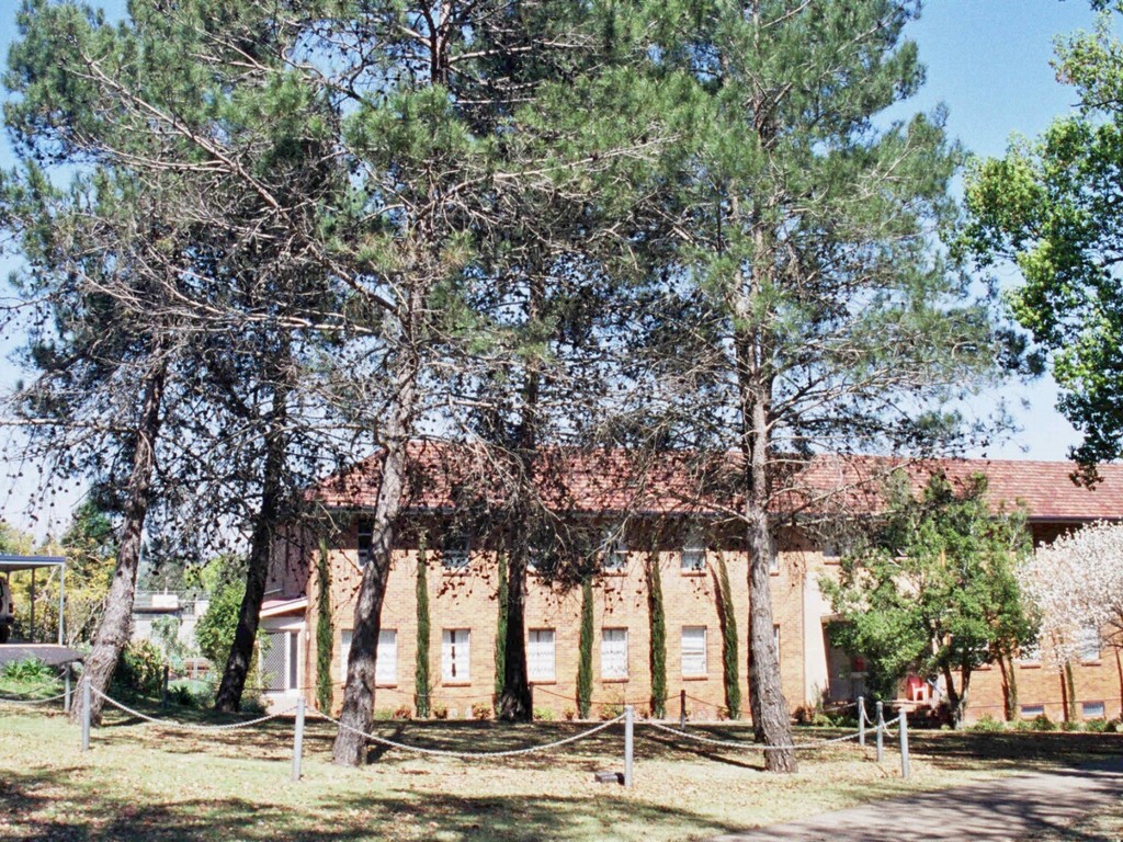 Toowoomba Grammar School Gallipoli Pines