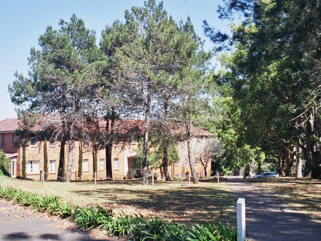Toowoomba Grammar School Gallipoli Pines
