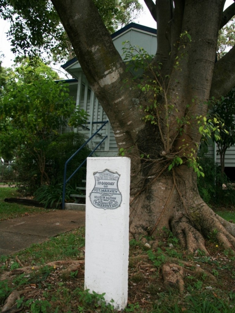 Yeronga CWA Hall Memorial Tree - 2010 - name plaque