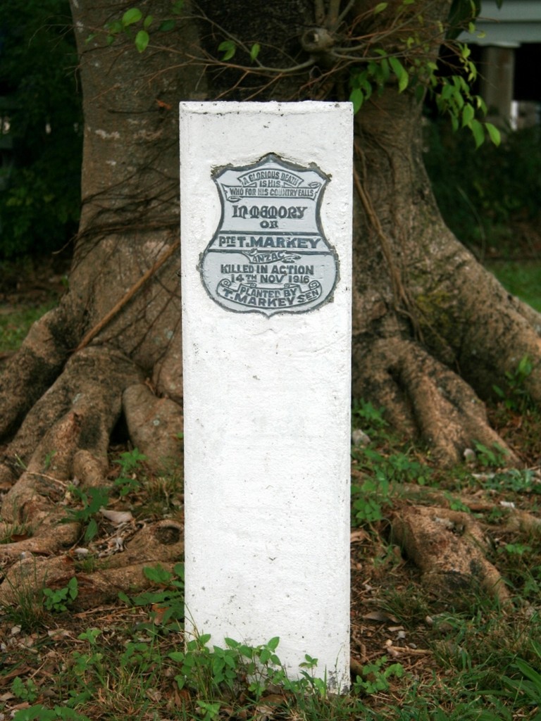 Yeronga CWA Hall Memorial Tree - 2010 - name plaque