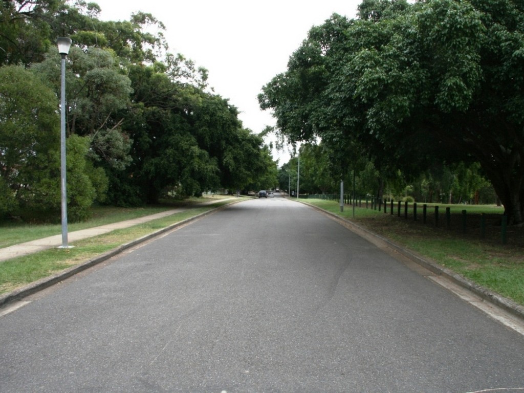Yeronga Honour Avenue - heading west