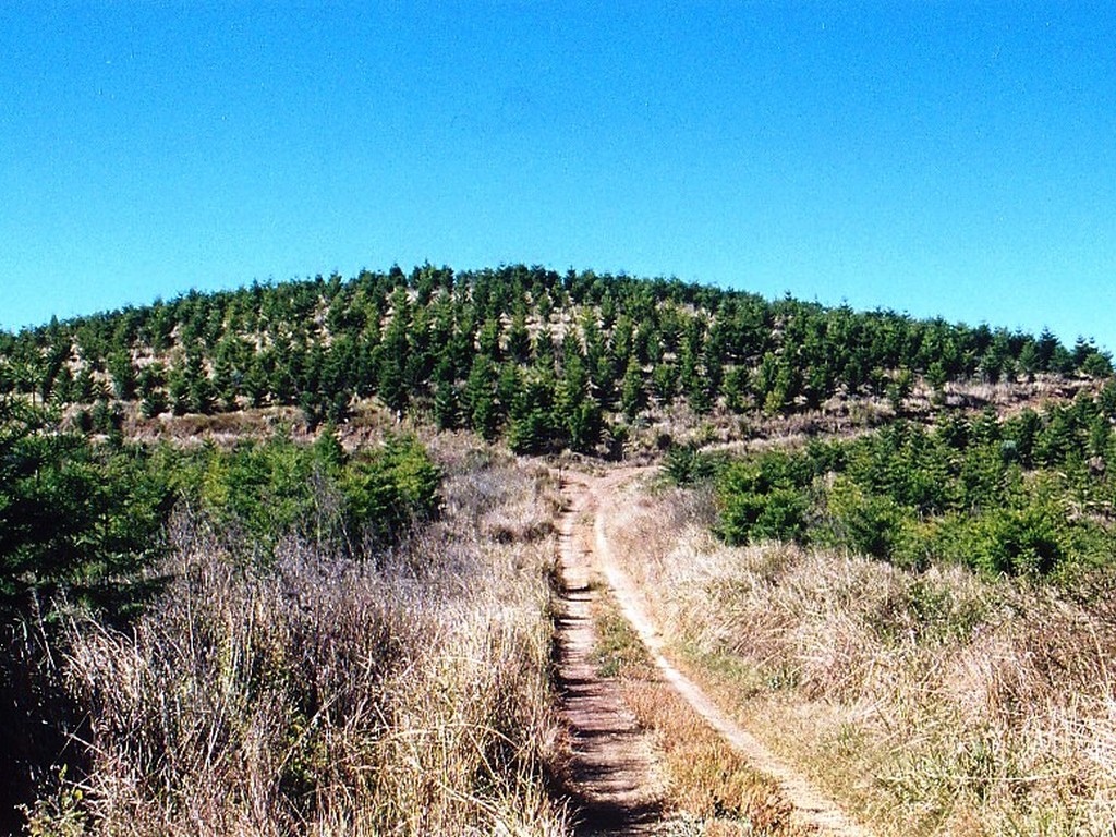 Benarkin State Forest Hill 60 Memorial