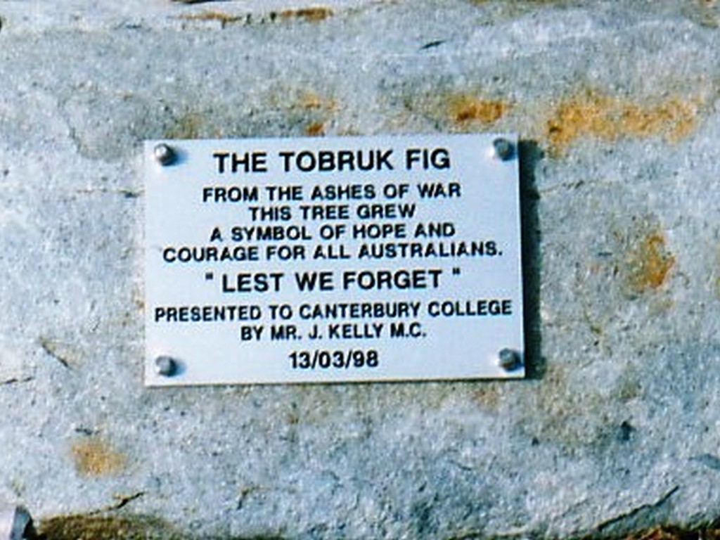 Canterbury College Memorial Fig Tree - plaque