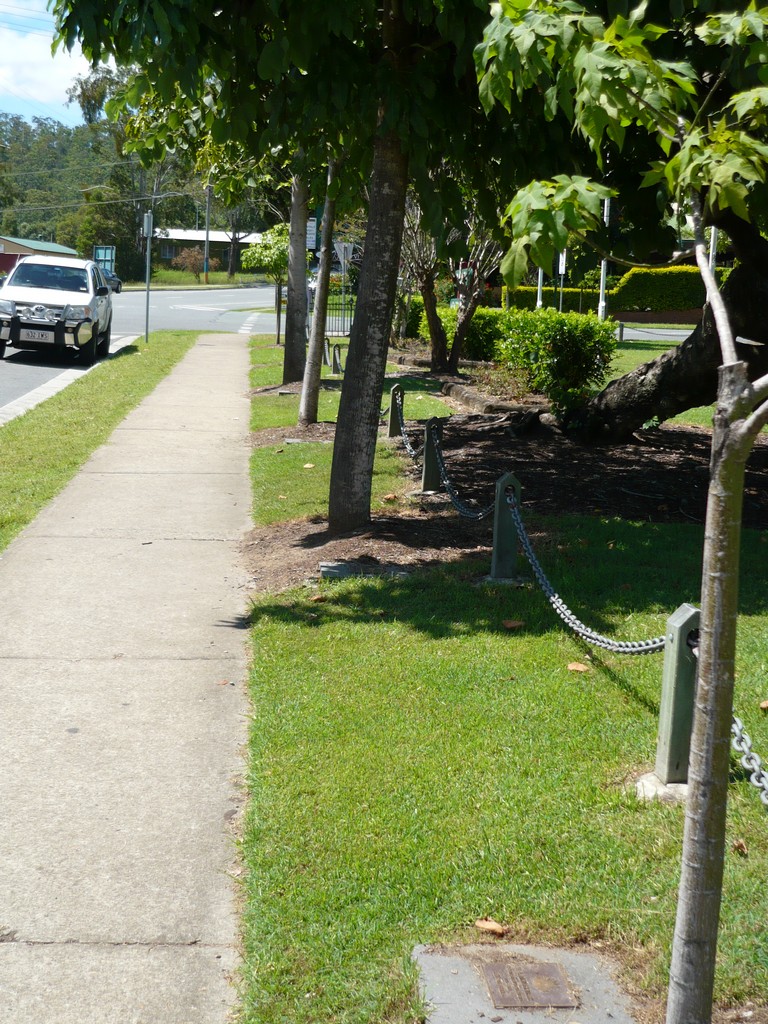 Trees along Christie street
