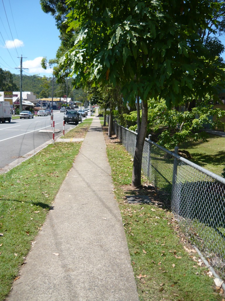 Trees along Kidson Street