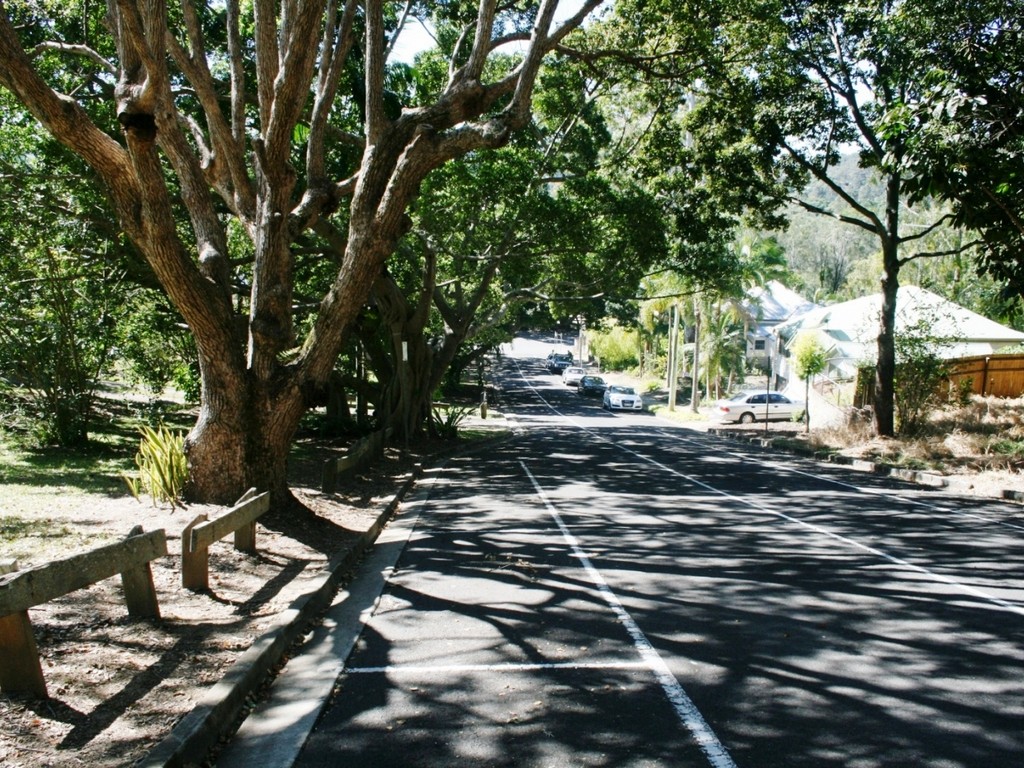 Eumundi Avenue of Honour, Gridley Street