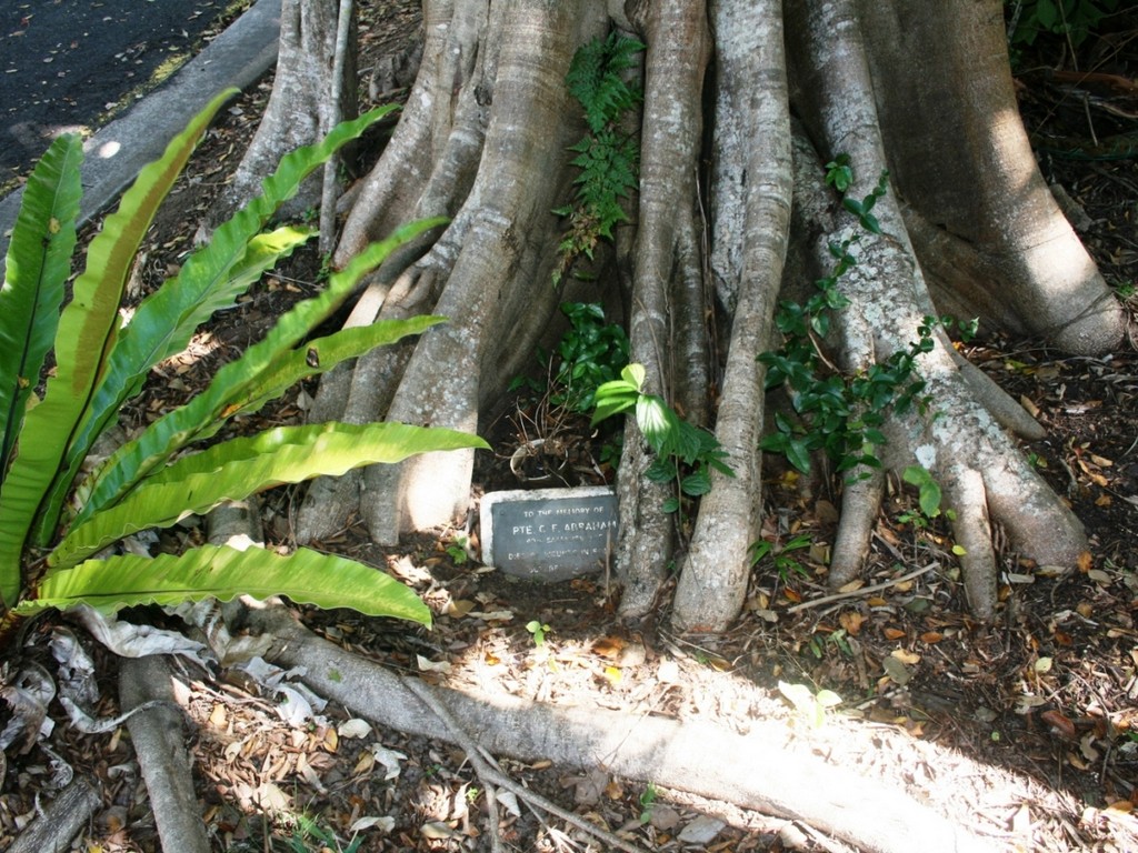 Eumundi Avenue of Honour - C.F. Abraham Plaque