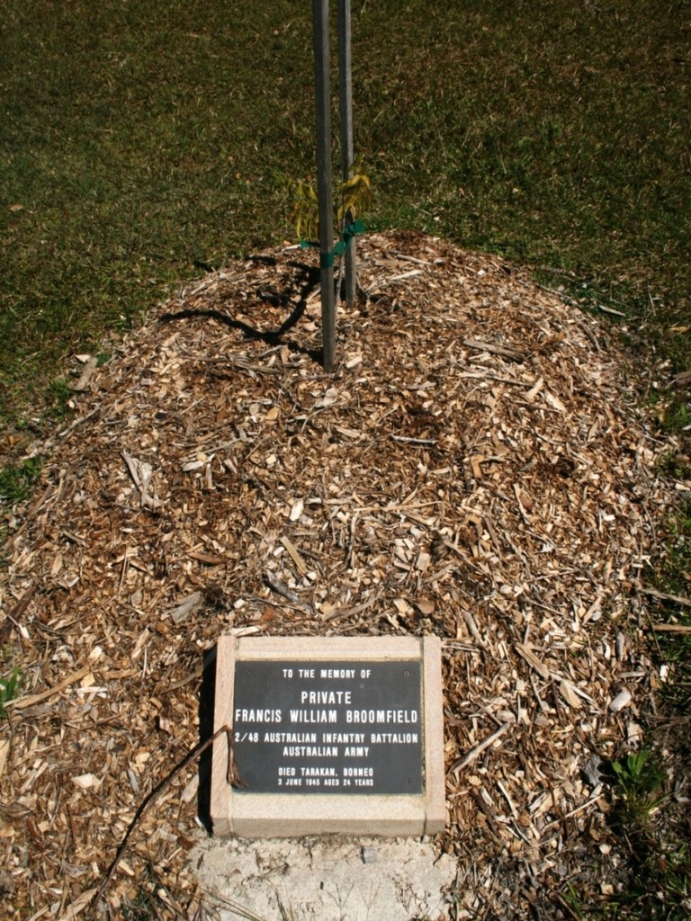 Eumundi WWII Memorial Trees - tree and plaque
