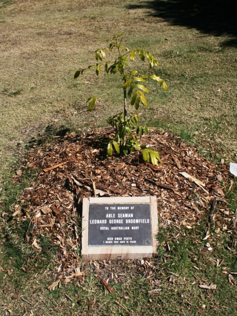 Eumundi WWII Memorial Trees - plaque and tree