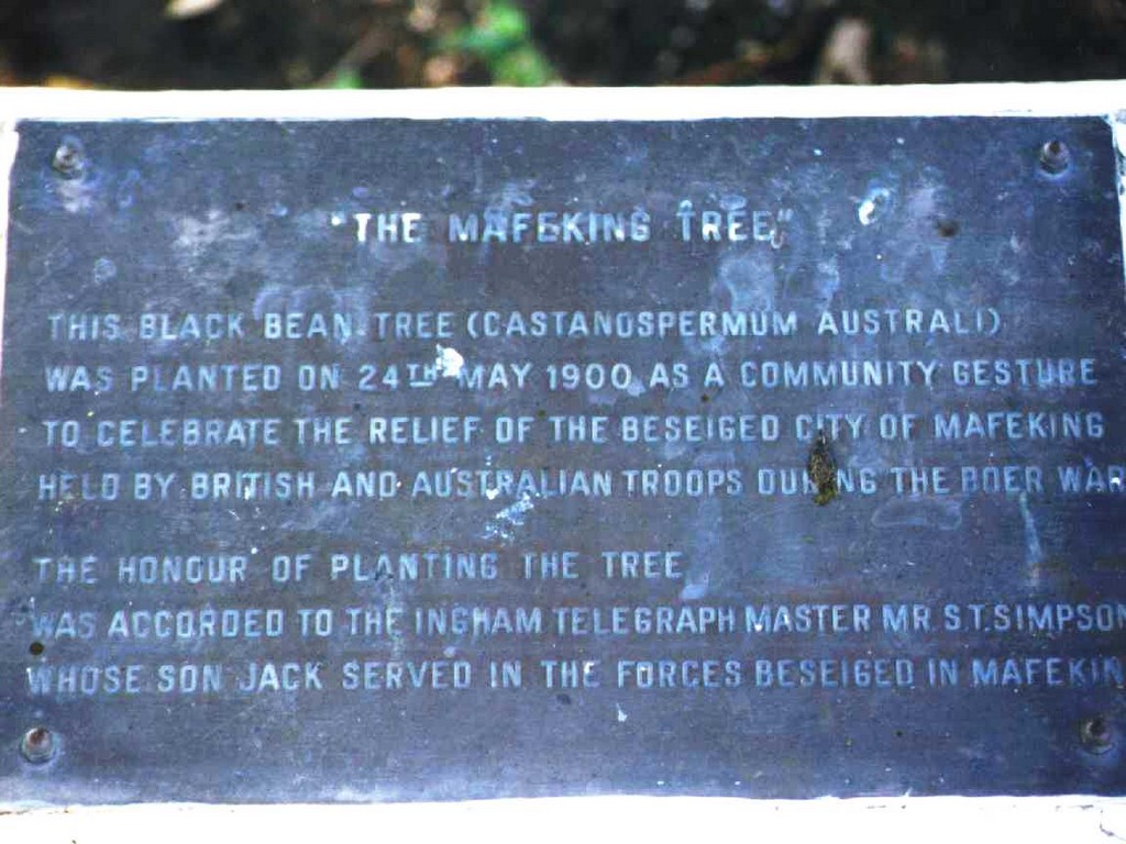 Ingham Mafeking Tree Memorial - plaque