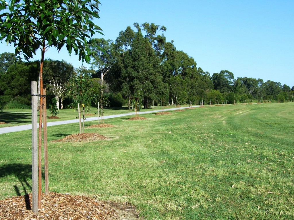 7th Brigade Park Avenue of Honour