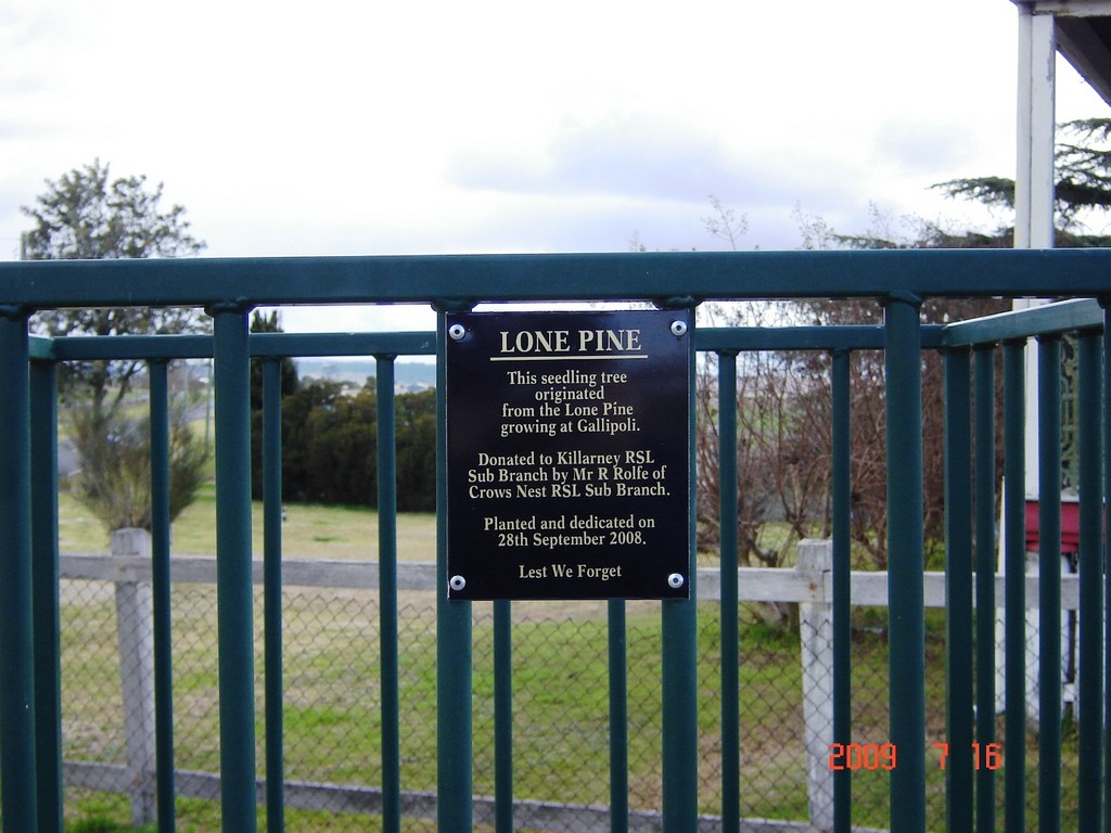 Killarney Gallipoli Pine Memorial - plaque