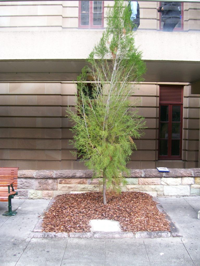 Anzac Square Peace Keepers Memorial