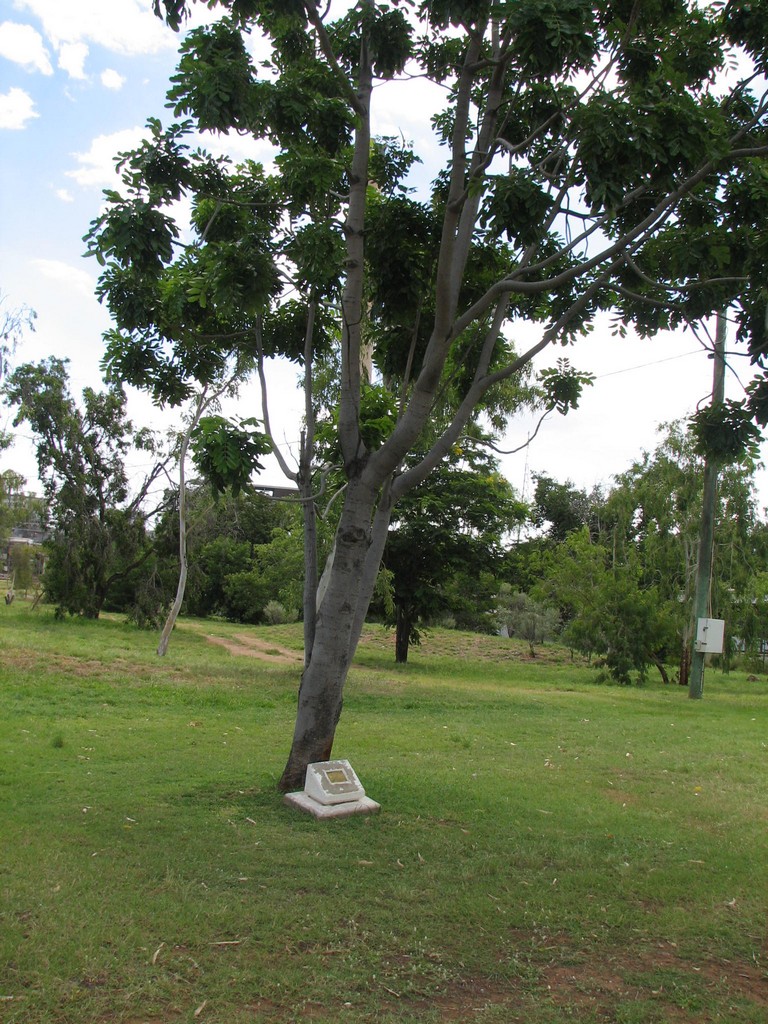 Mount Isa Vietnam Veterans Tree
