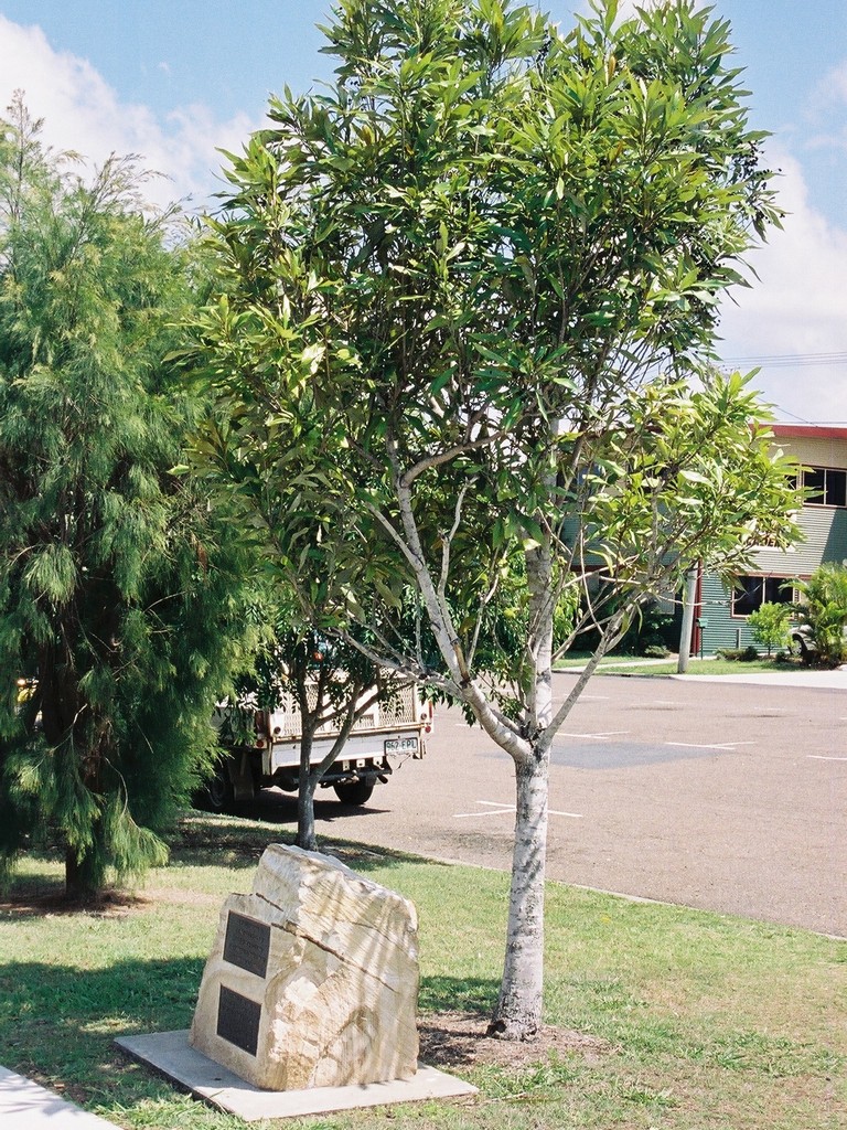 North Ipswich RSL War Memorial