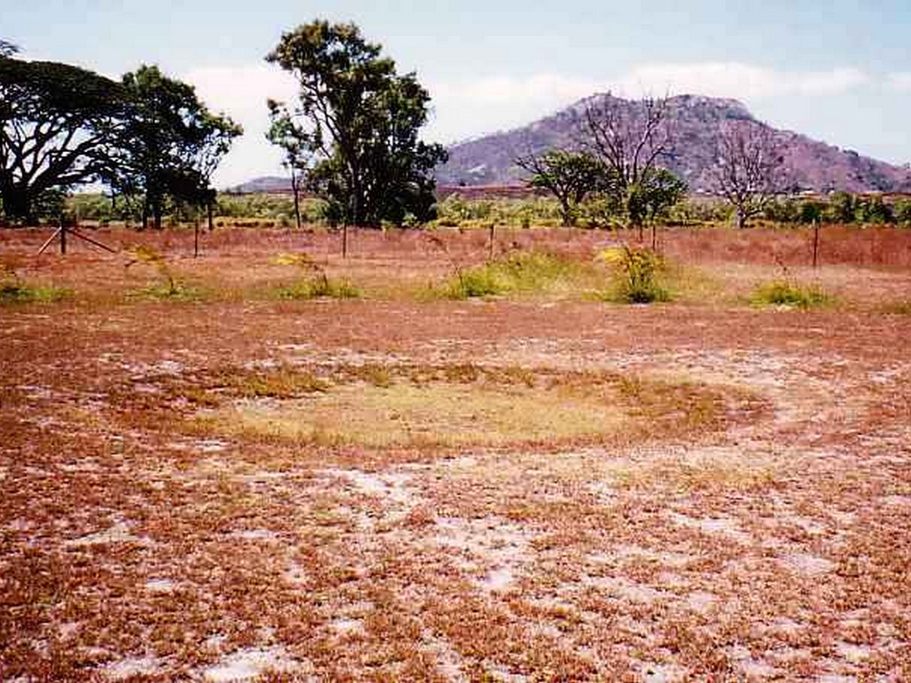 Photo of Oonoonba Bombing Memorial