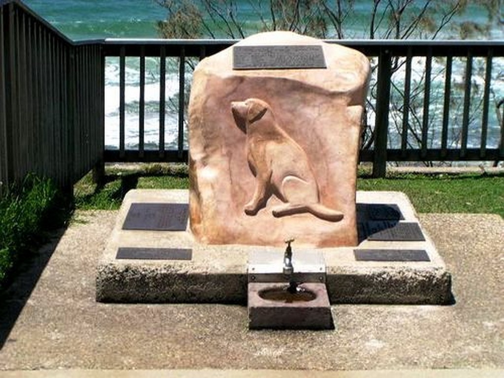 Alexandra Headland National War Dog Memorial