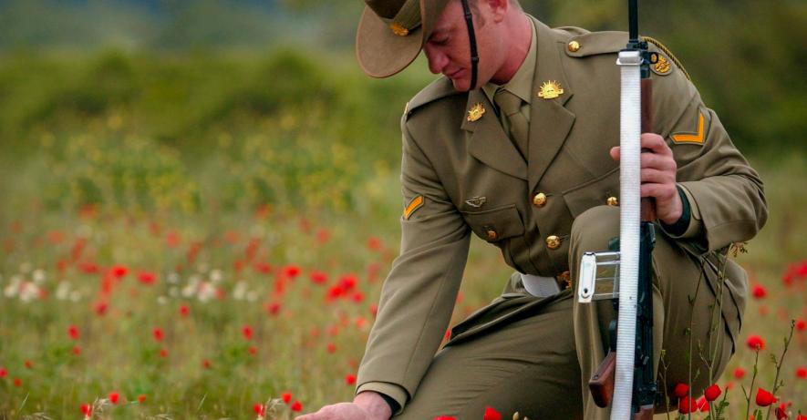 Soldier kneeling down to look at poppies in a field. 