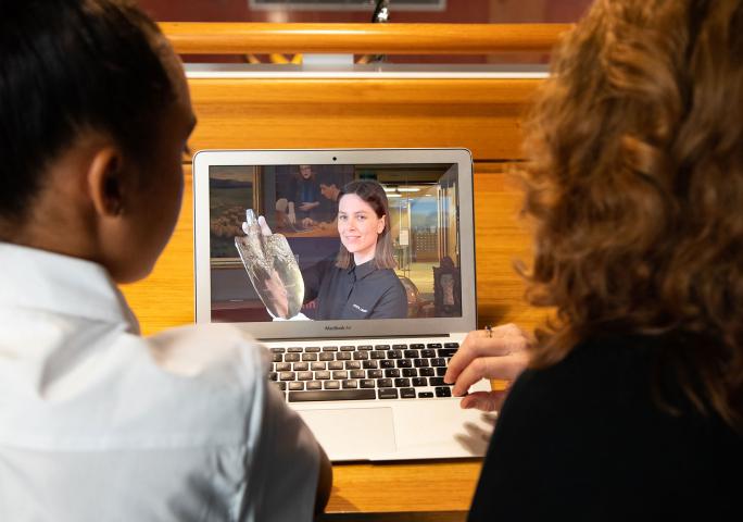 Over the shoulder shot of two people looking at a laptop. Visible on the screen is a woman is holding a collection item.